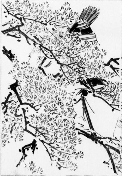 佐藤継信