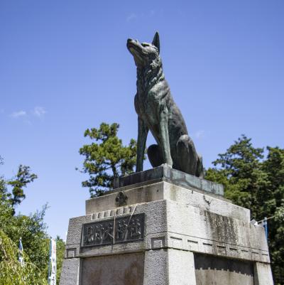 霊犬悉平太郎
