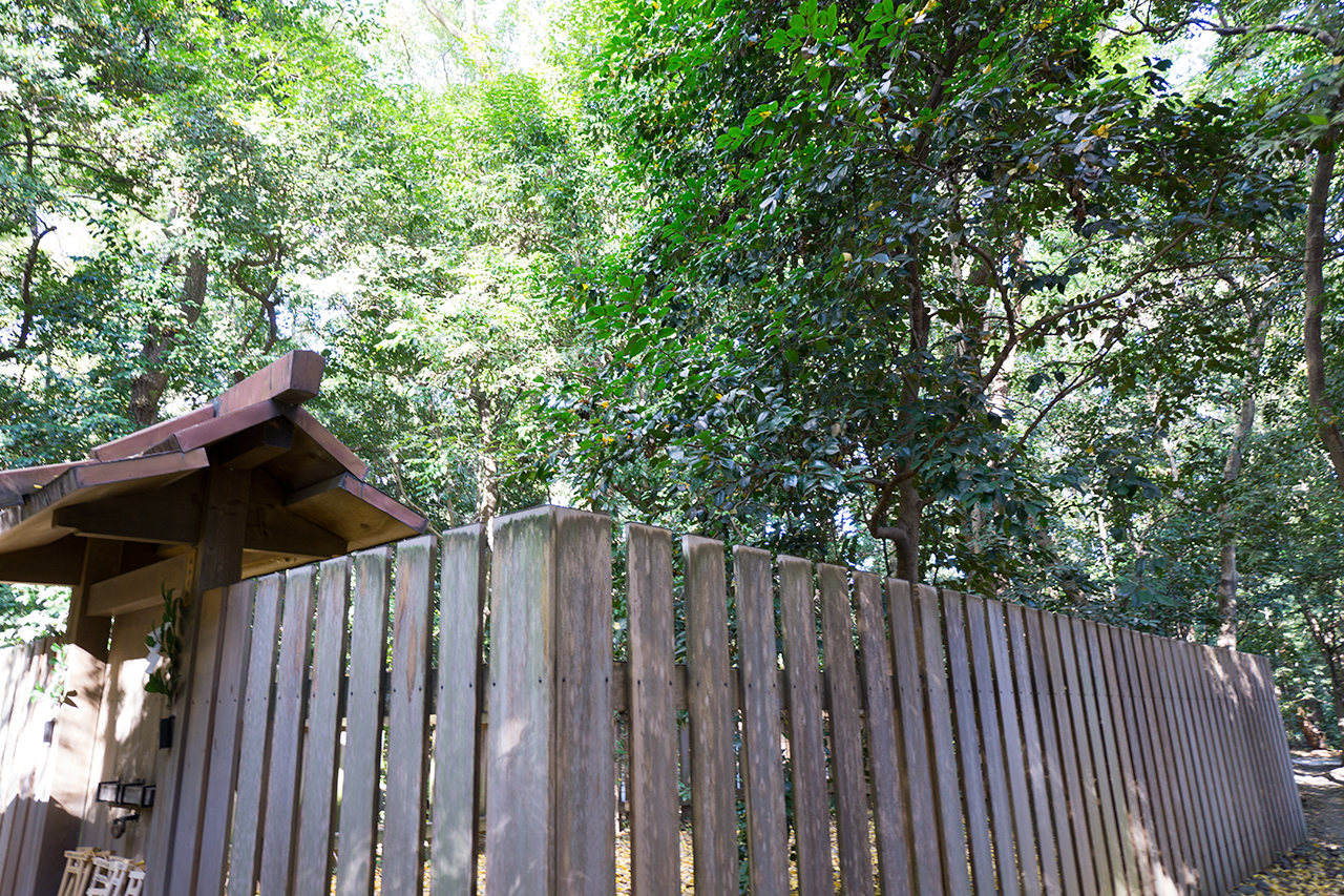 楠御前社 門の裏側は社殿がない