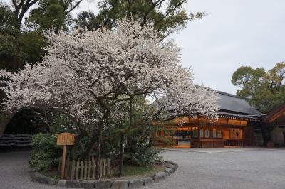 熱田神宮 ならずの梅
