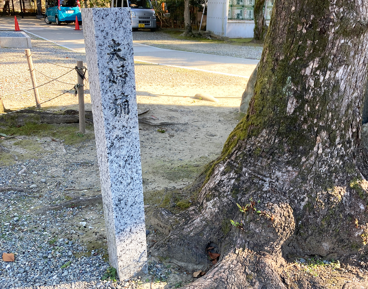 真清田神社 夫婦楠 根元の碑