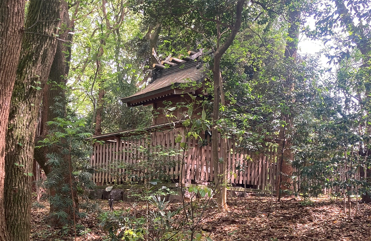 真清田神社 三明神社 社殿 後側
