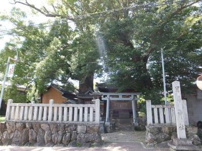 関川社 拝殿