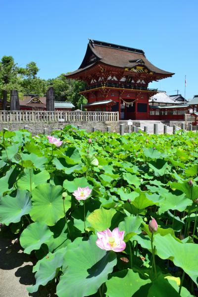 伊賀八幡宮 楼門