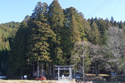 津具八幡宮 鳥居