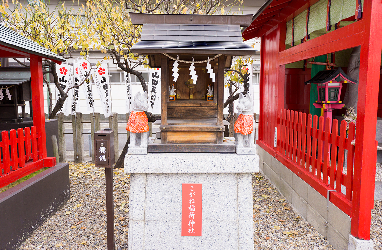 こがね稲荷神社 社殿