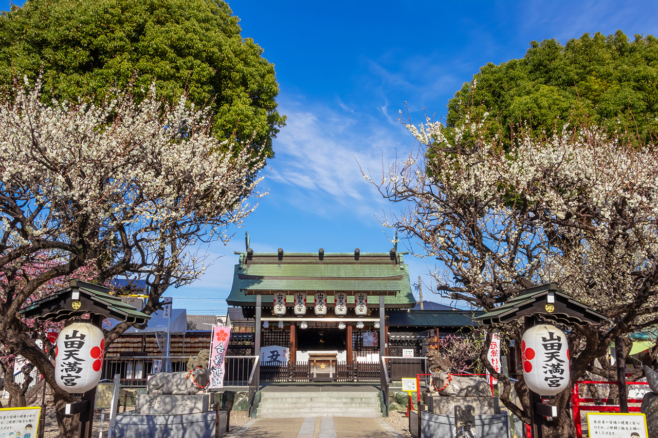 山田天満宮 梅の木