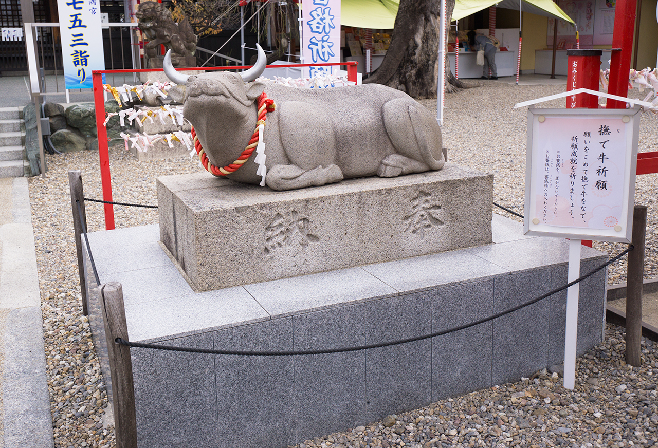 山田天満宮 撫で牛像