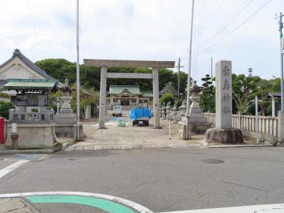 白鳥神社 鳥居と拝殿