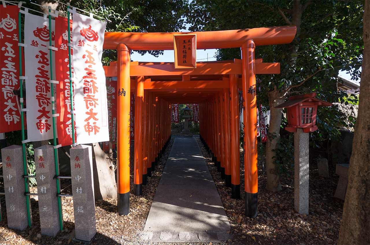玉主稲荷社 鳥居