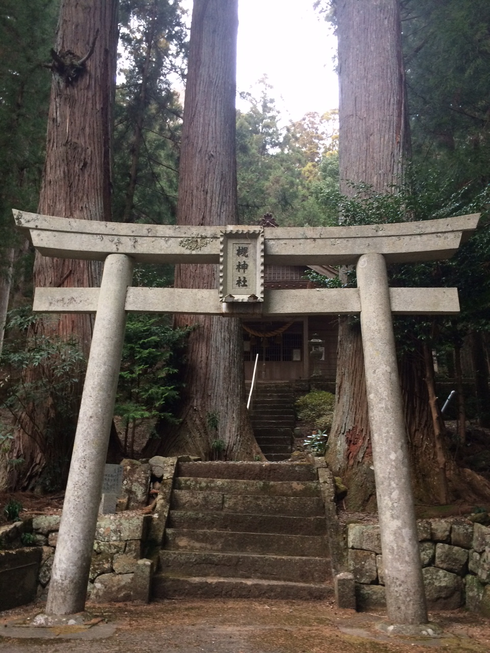 鳥居