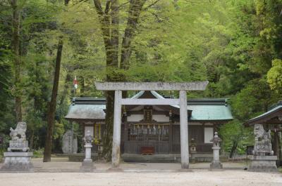 足助八幡宮 鳥居と拝殿