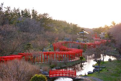 高山稲荷神社 千本鳥居