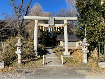 日枝神社 鳥居