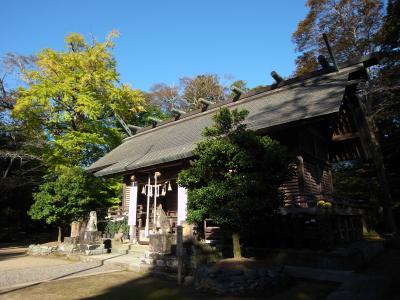 橘樹神社 拝殿