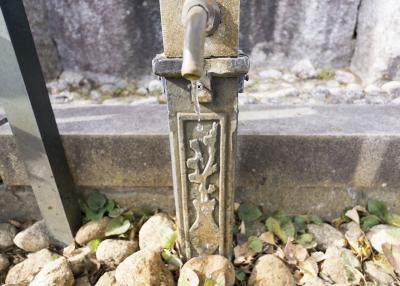 玉前神社 蛇口から御神水が出る様子