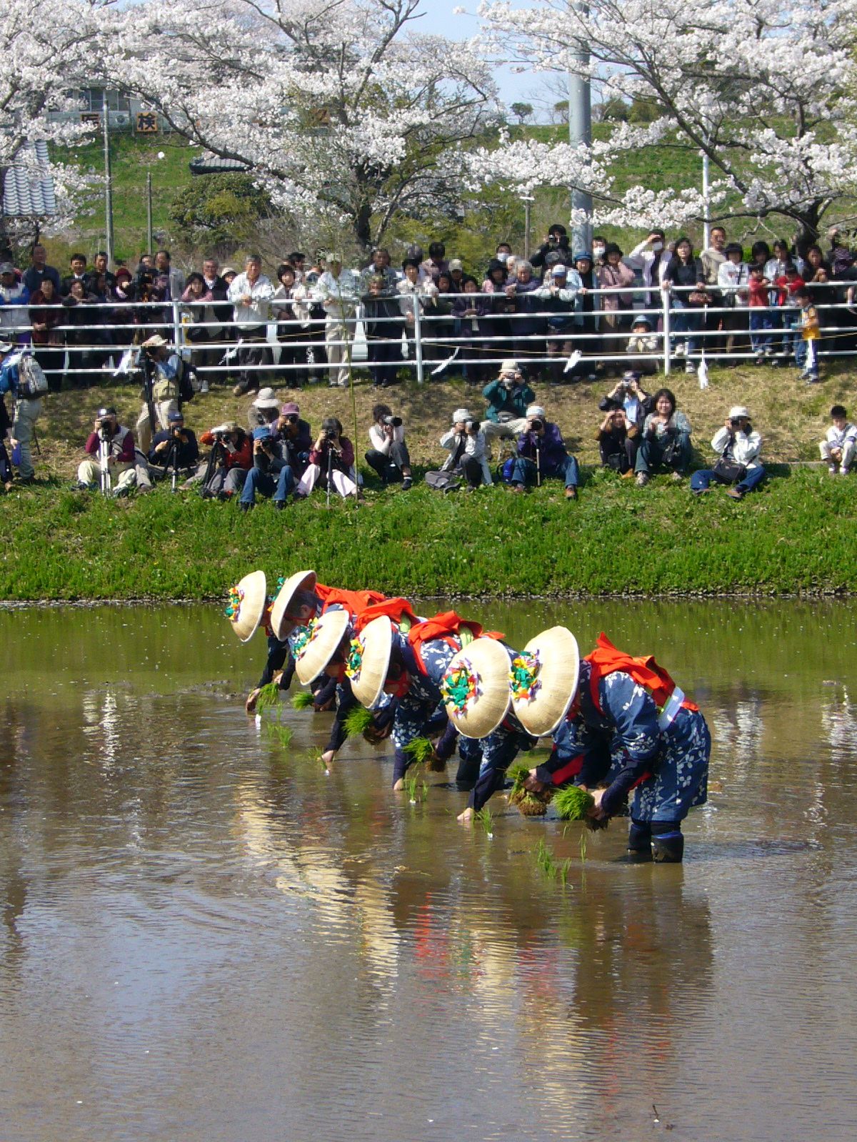 御田植祭
