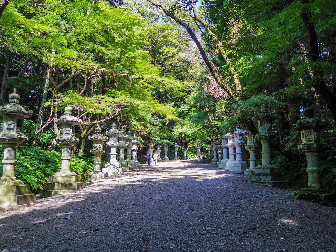 香取神宮 境内参道と灯篭
