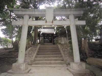 天津神社 拝殿