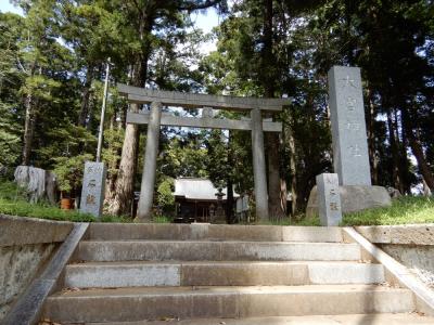大宮神社 鳥居と拝殿