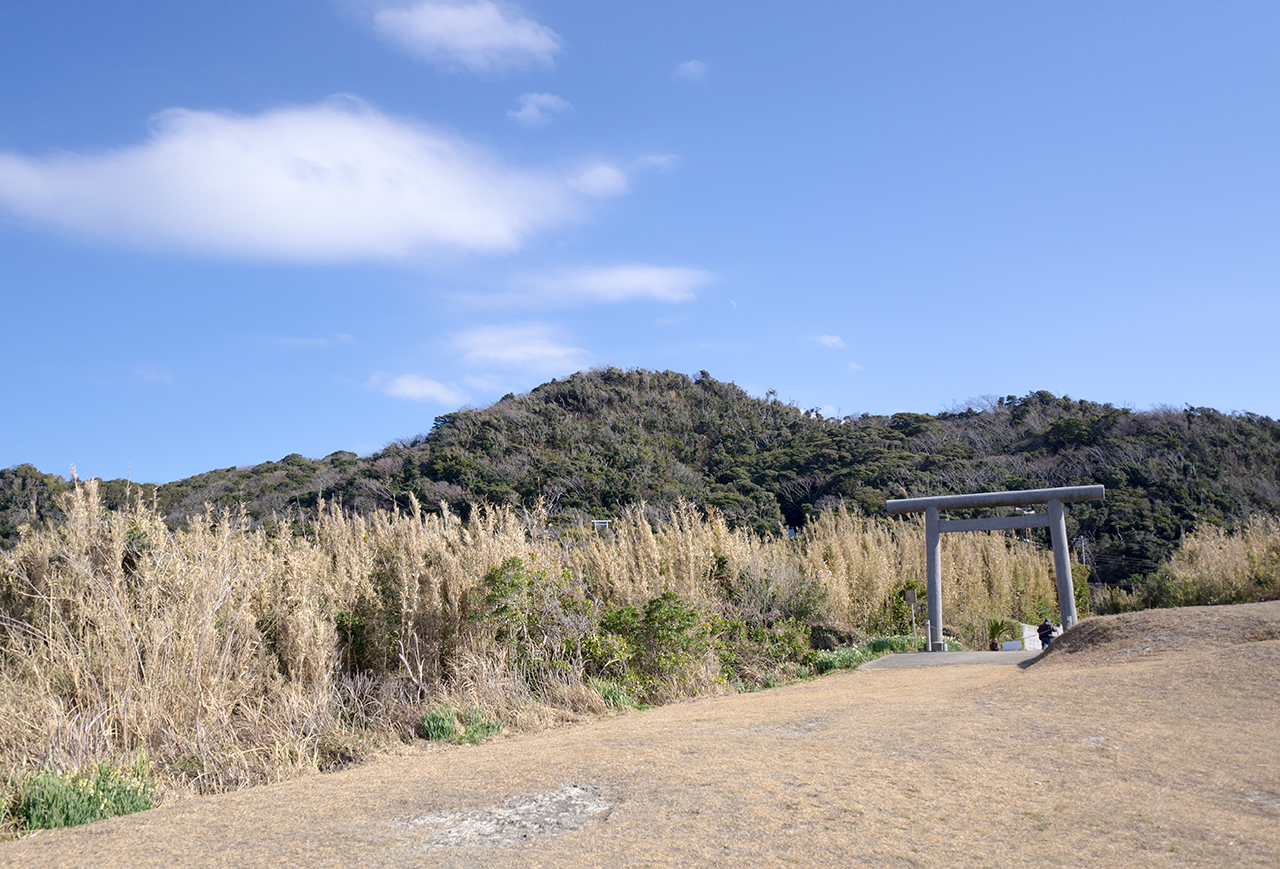 海から見える洲崎神社の自然林