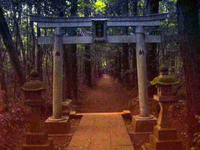 白幡神社 鳥居