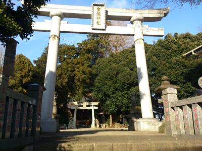 白髭神社 鳥居