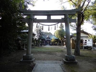 白幡八幡神社 鳥居と拝殿