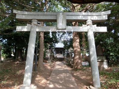 大宮神社 鳥居と拝殿