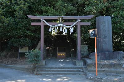 坂戸神社 鳥居