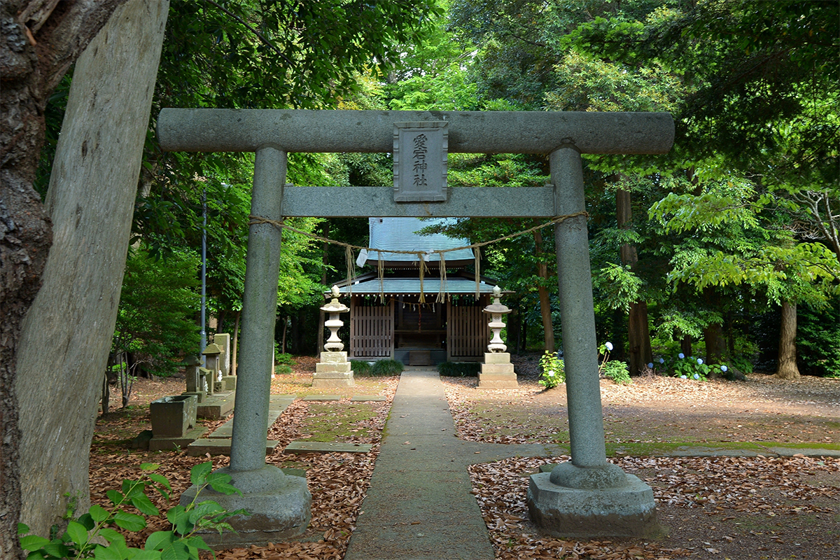 鳥居と拝殿