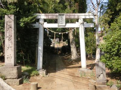 大宮神社 鳥居