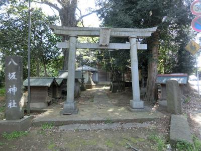 八坂神社 鳥居