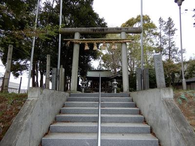 辰巳台神社 鳥居と拝殿