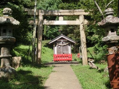 三柱神社 鳥居と拝殿
