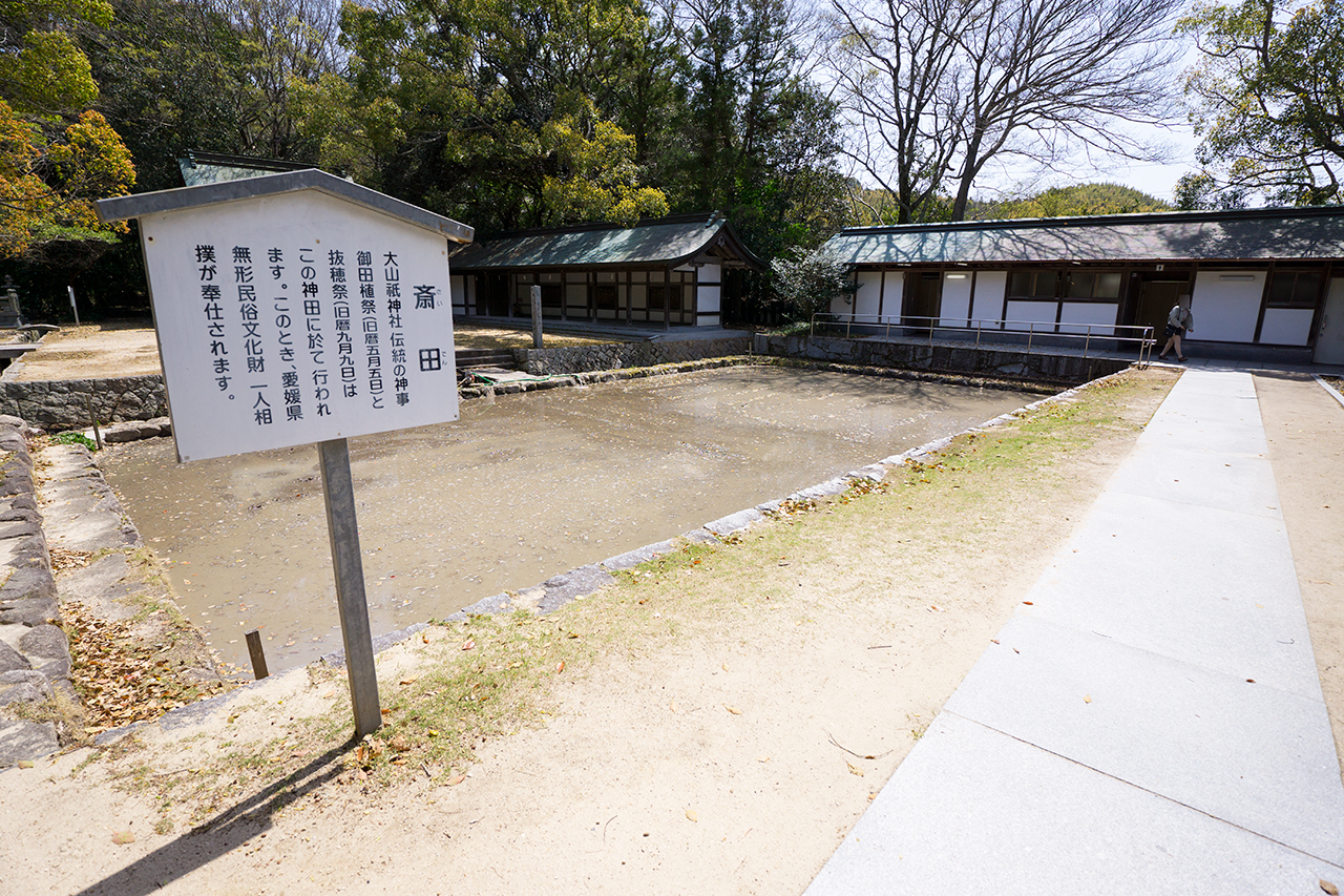田植え前の斎田