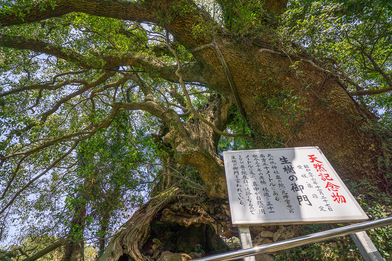 生樹の御門と案内版