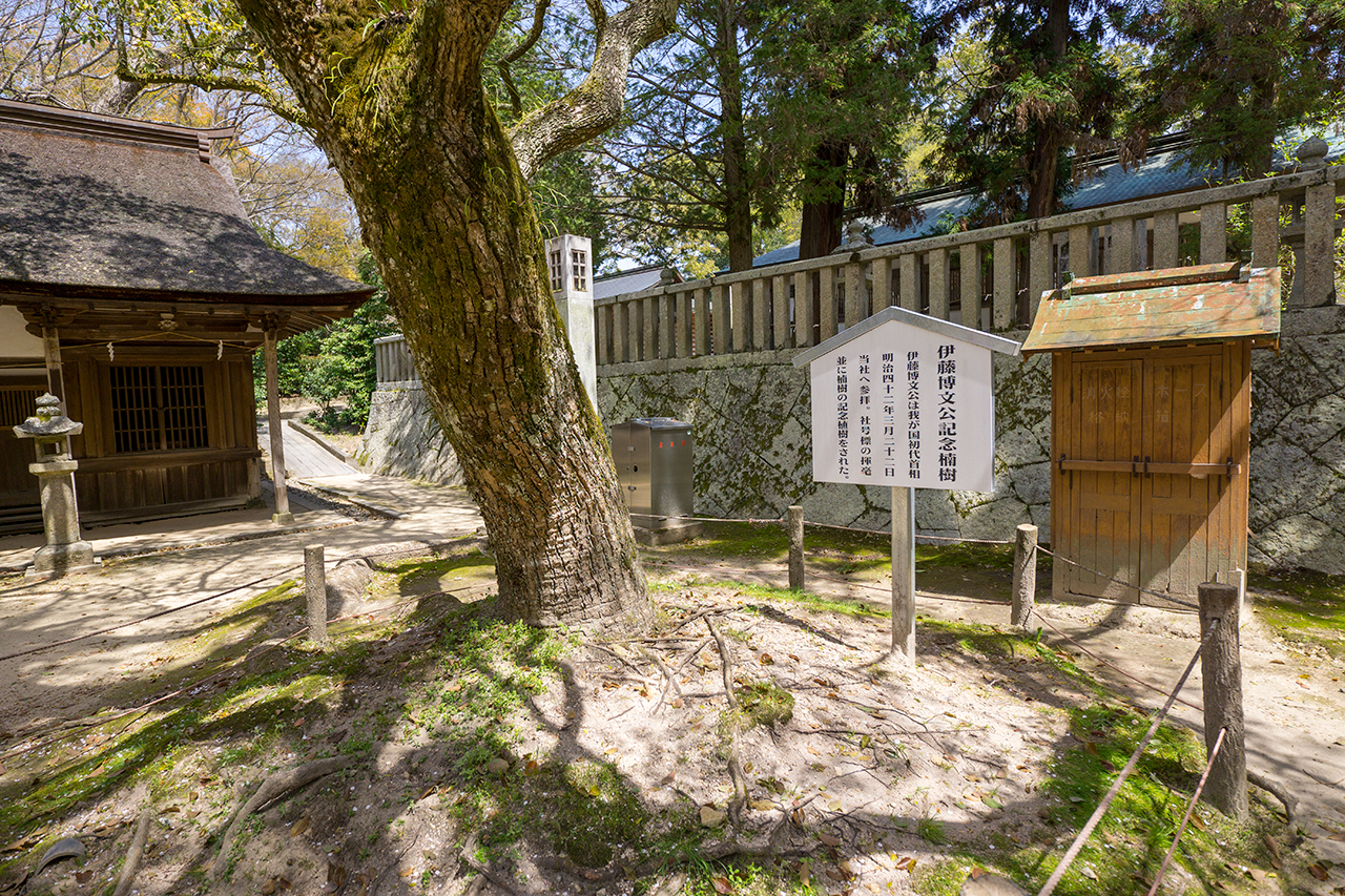 伊藤博文公記念楠樹 案内版