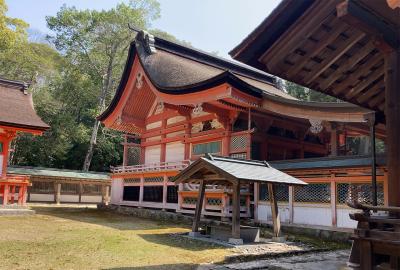 大山祇神社 本殿