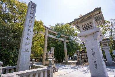 大山祇神社 伊藤博文が書いた社号石