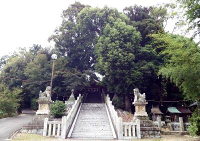 飯積神社 石段と社殿
