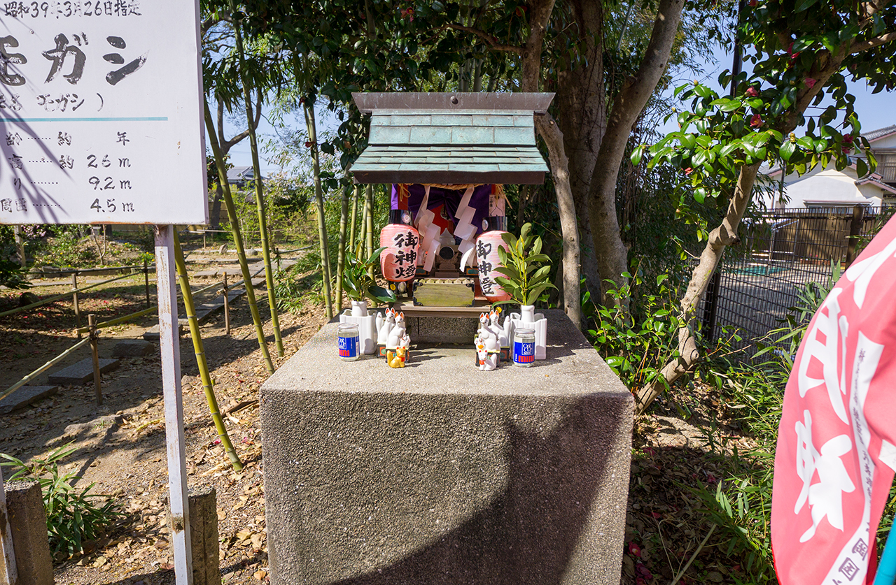 七生稲荷神社 社殿