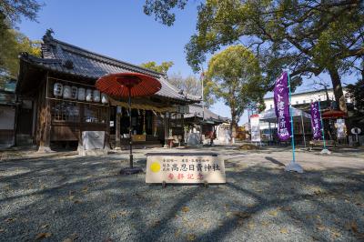 高忍日賣神社 撮影スポットからみた拝殿