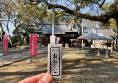 高忍日賣神社 おみくじ