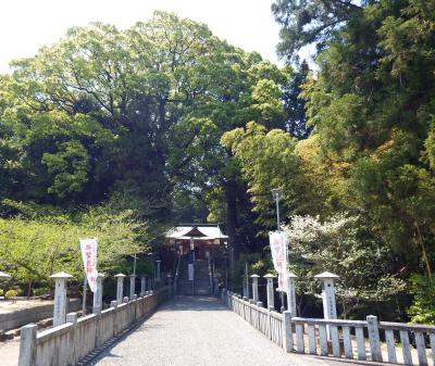 白山神社 参道と社殿