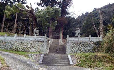 白山神社 石段と鳥居
