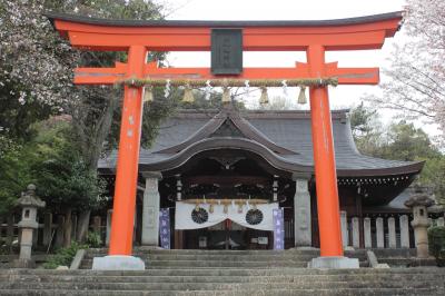 藤島神社 鳥居と拝殿