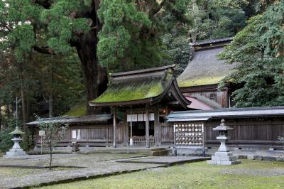 若狭姫神社 社殿