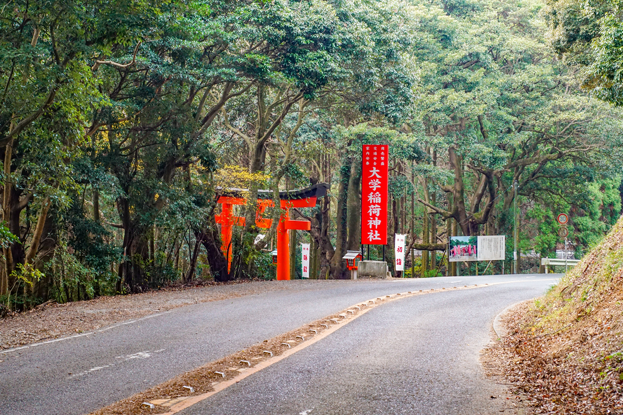 大学稲荷神社 入口