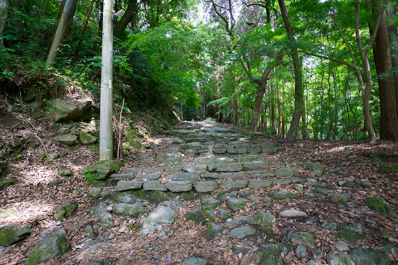 二の鳥居からの石段の参道